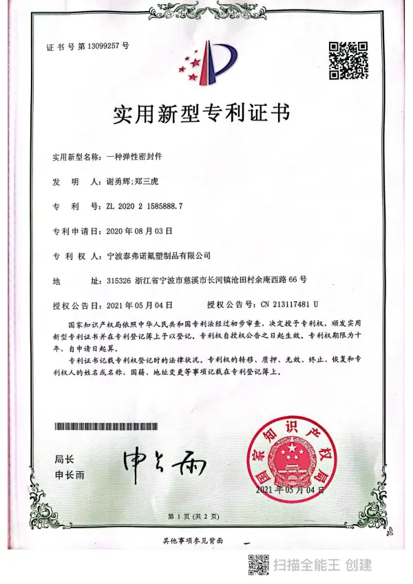 Patent